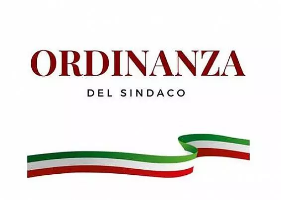 Immagine anteprima